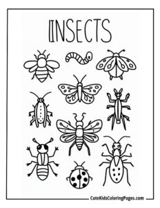 Insect coloring page free pdf download